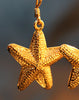 Starfish Earrings