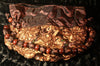 Jeweled Evening Tote in Winter Brown